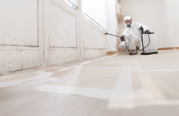 24/7 Emergency Attic Mold Removal experts in Auburndale, MA