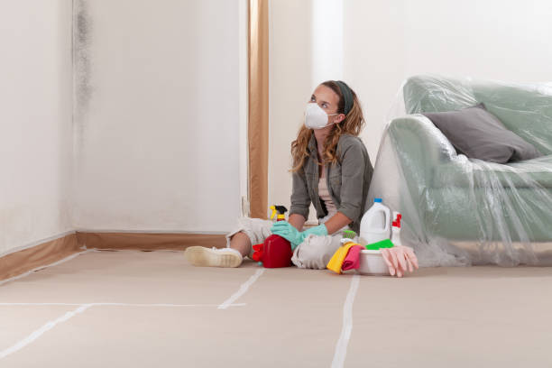 Reliable Attic Mold Removal contractor in Auburndale, MA by WQB Mold Removal